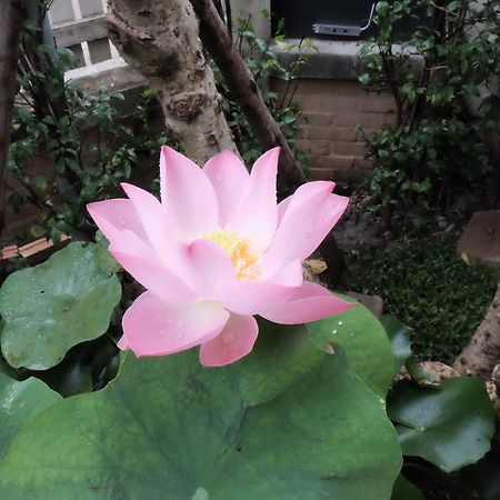 18 In Town Homestay Chiang Mai Esterno foto