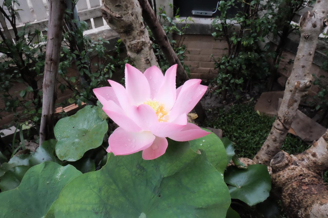 18 In Town Homestay Chiang Mai Esterno foto